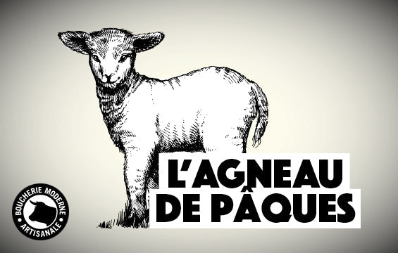 Agneau de Pâques : tout savoir !